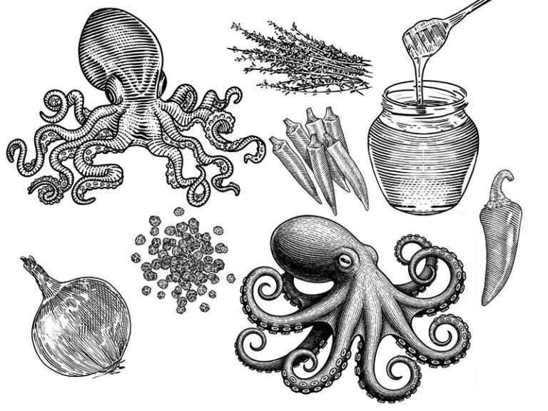 Mixed Engraving Ilustrations by Barry Davian